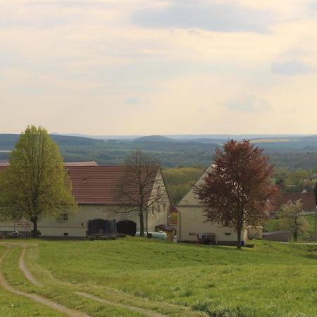 Ferienhof Wiesenblick Pirna Kültér fotó
